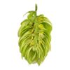 Picture of Hallertau Tradition T-90 Hop Pellets - 11lbs