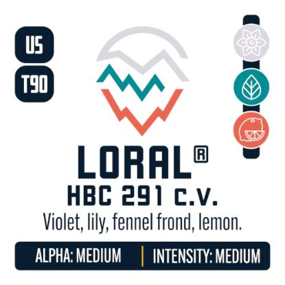 Picture of Loral® HBC 291 c.v. T-90 Hop Pellets - 11lbs