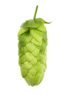 Cascade T-90 Hop Pellets - 1lb - whole cone